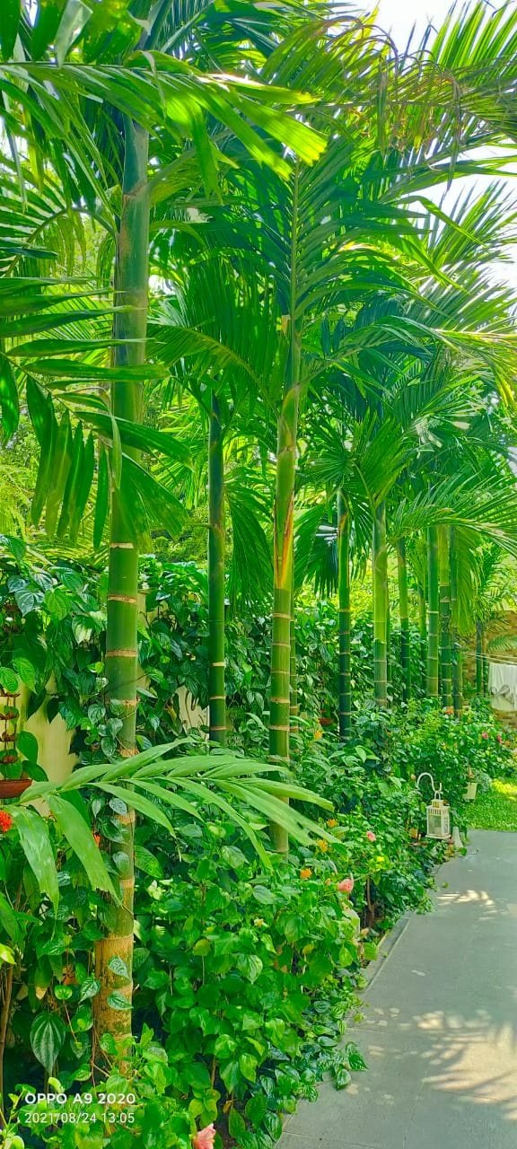 VGC Landscape Project 190