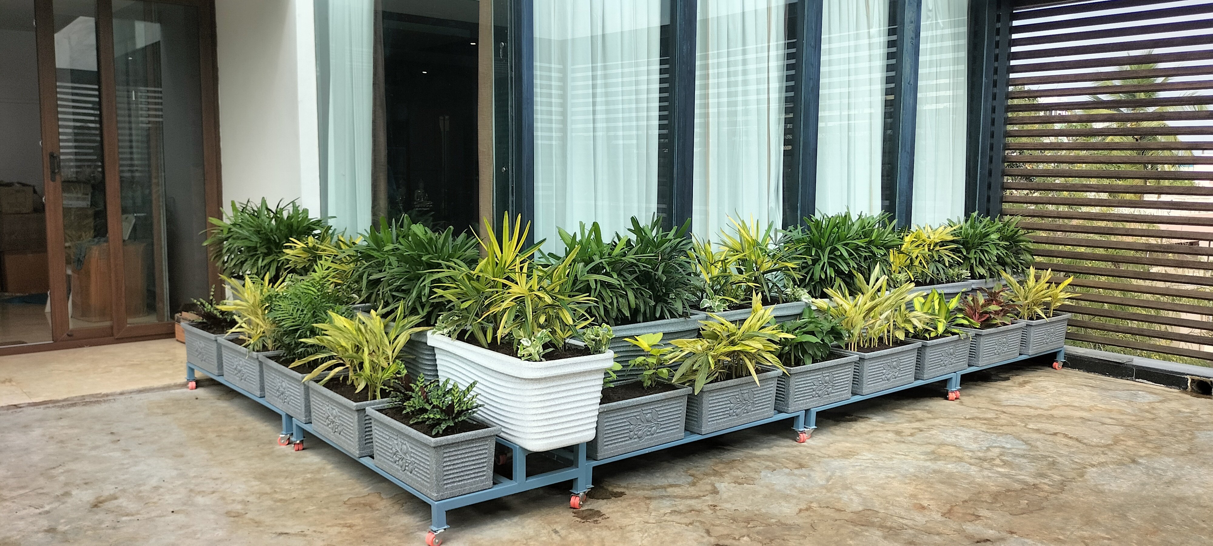 VGC Landscape Project 210