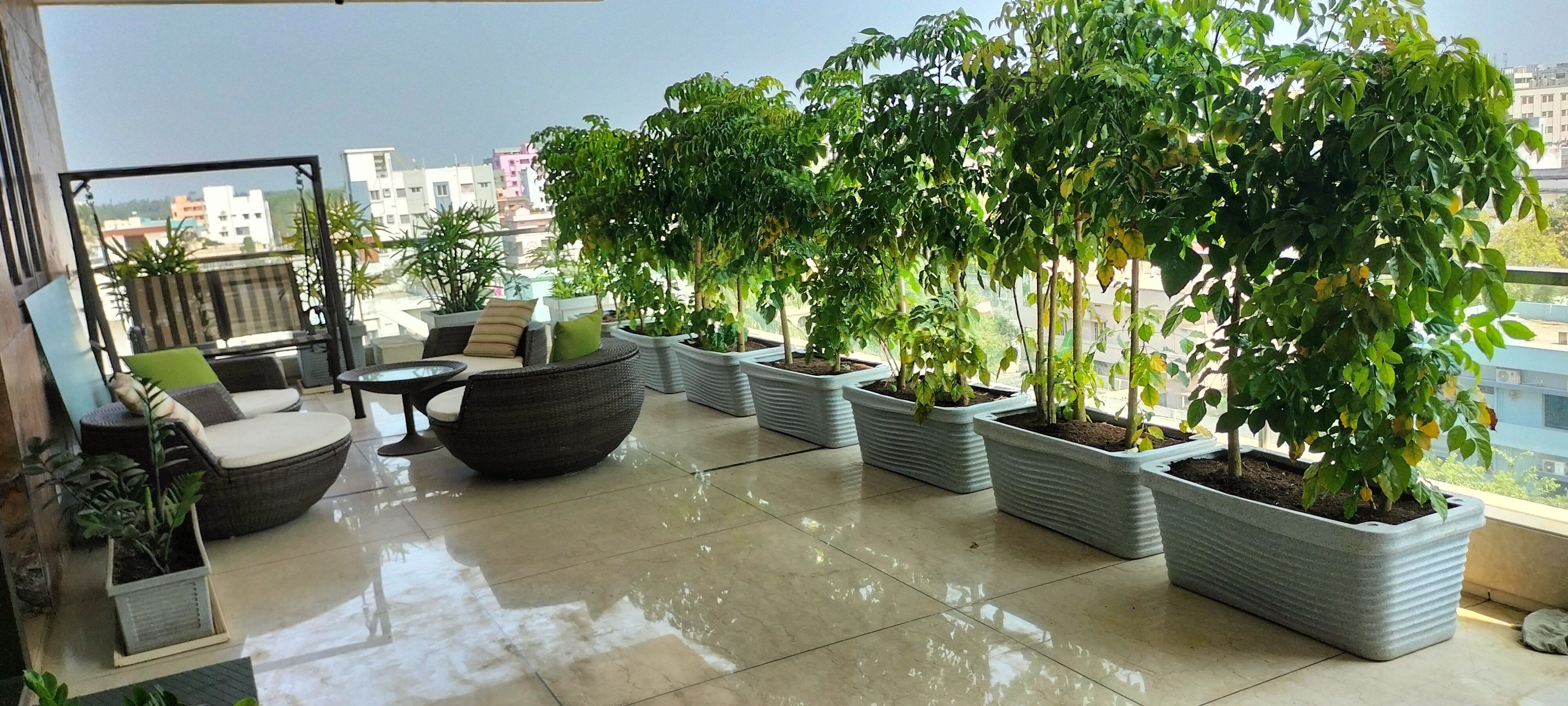 VGC Landscape Project 212