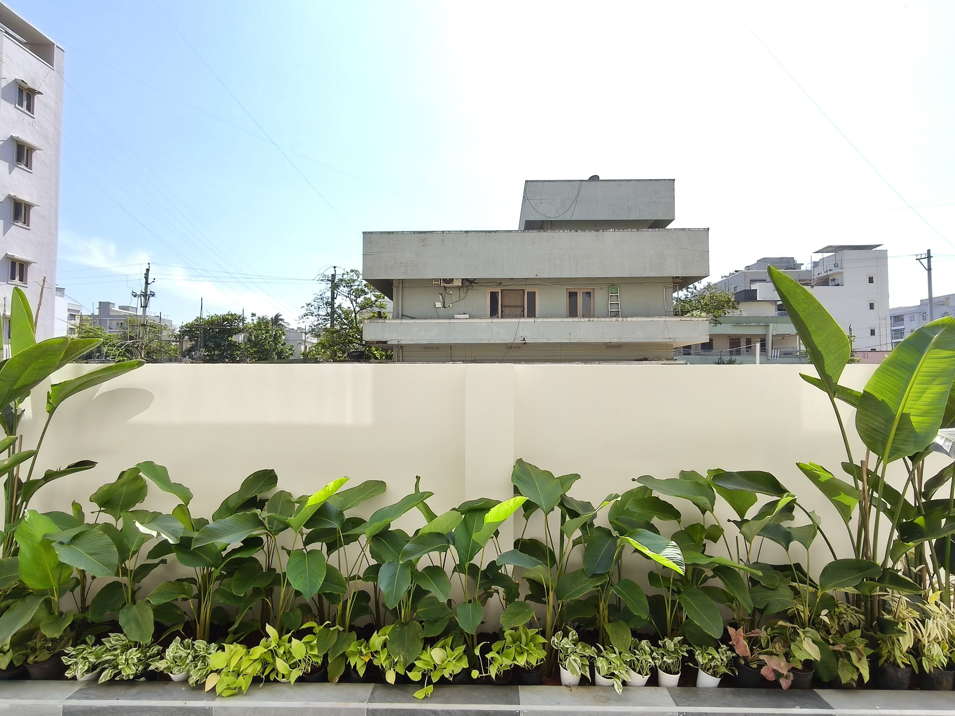 VGC Landscape Project 220