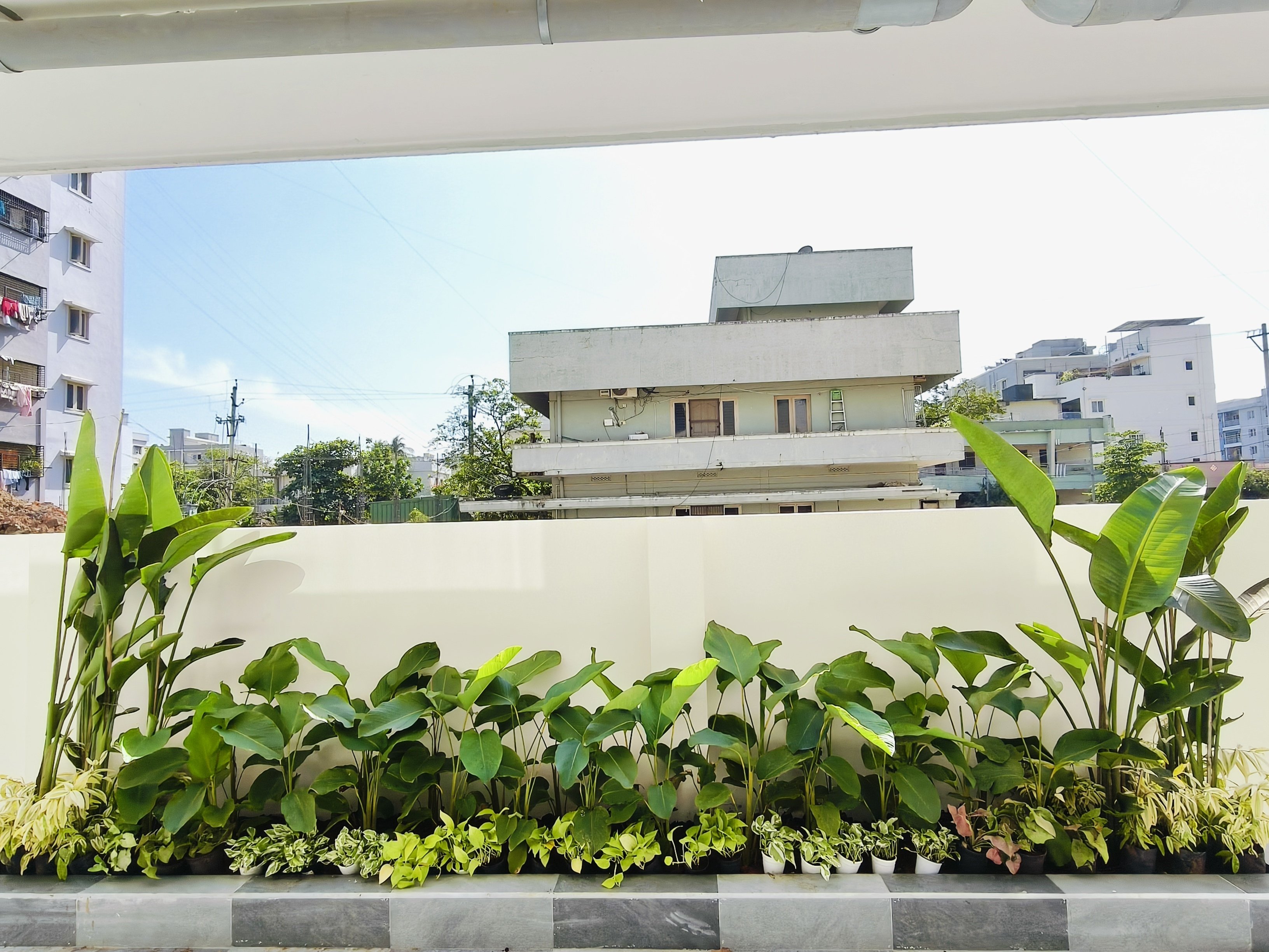 VGC Landscape Project 221