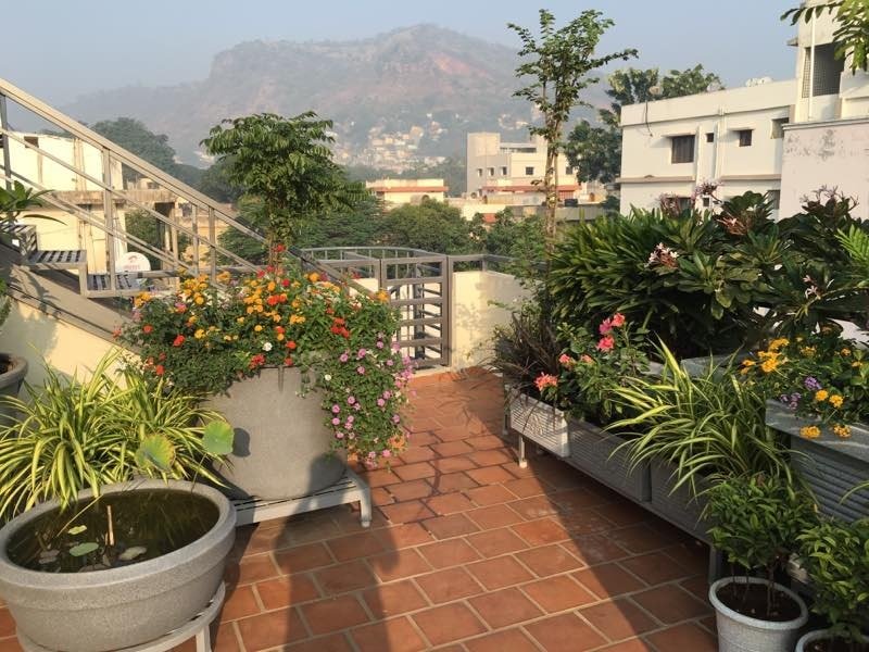 VGC Landscape Project 231