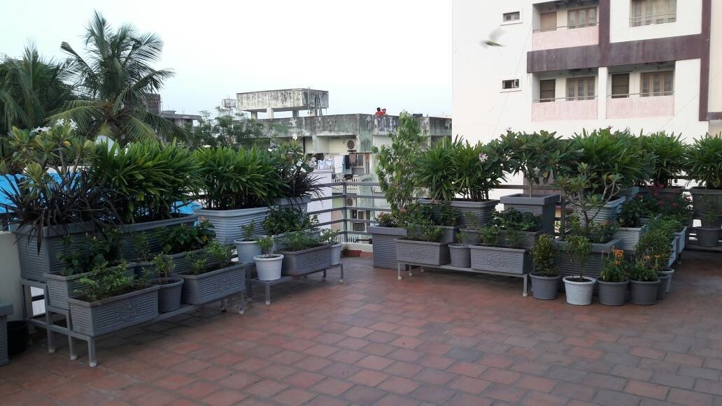 VGC Landscape Project 232