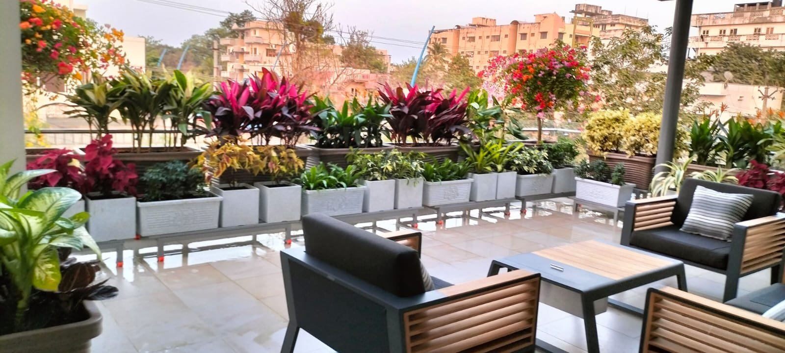 VGC Landscape Project 236