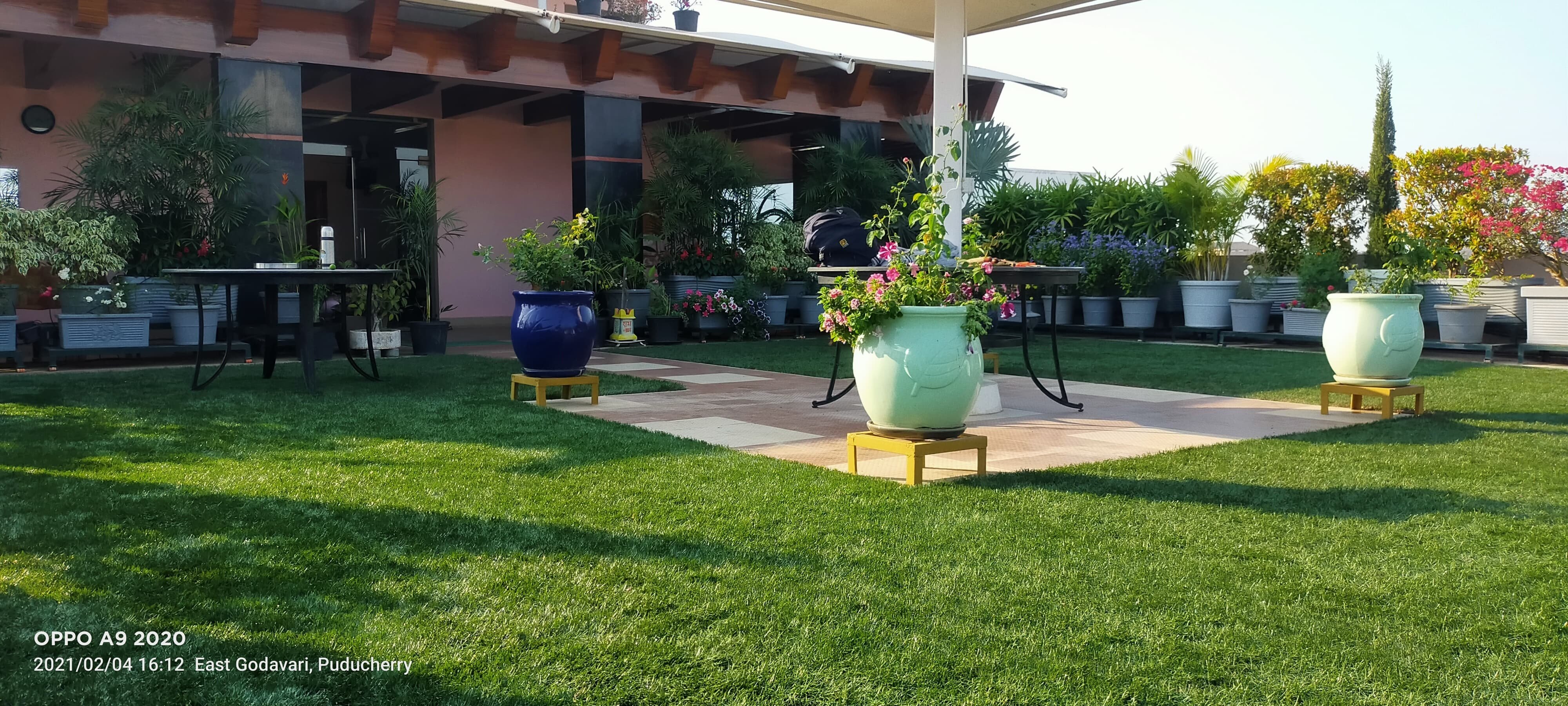 VGC Landscape Project 243