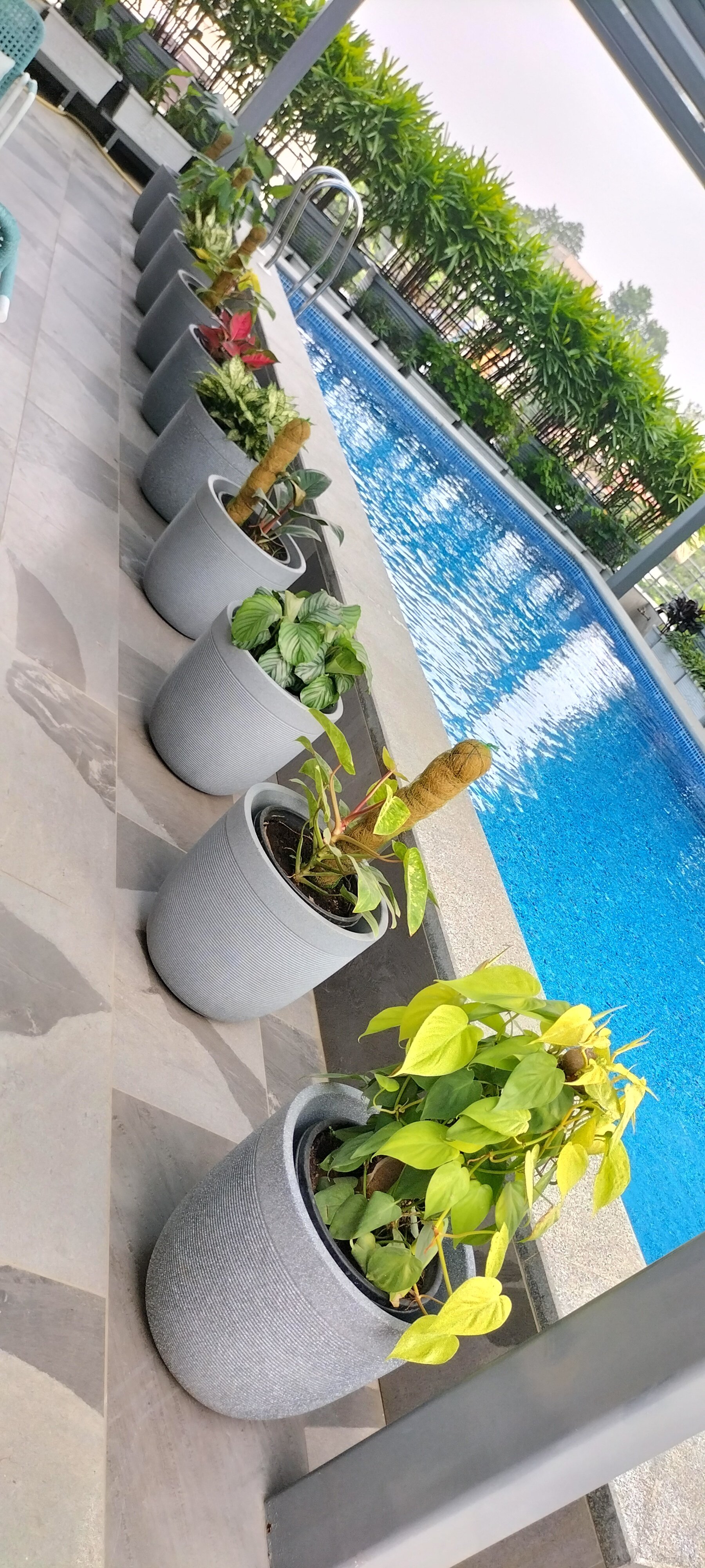 VGC Landscape Project 249