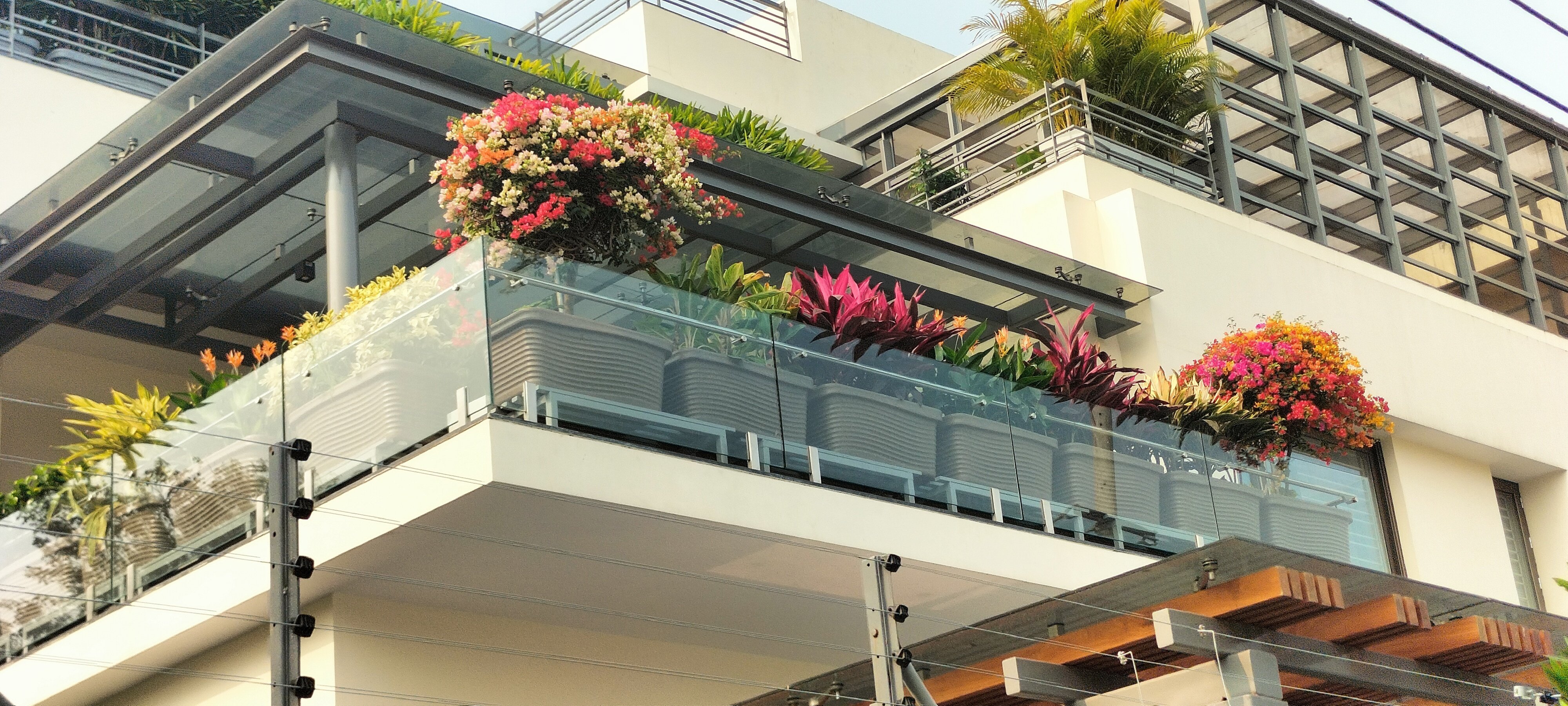 VGC Landscape Project 255