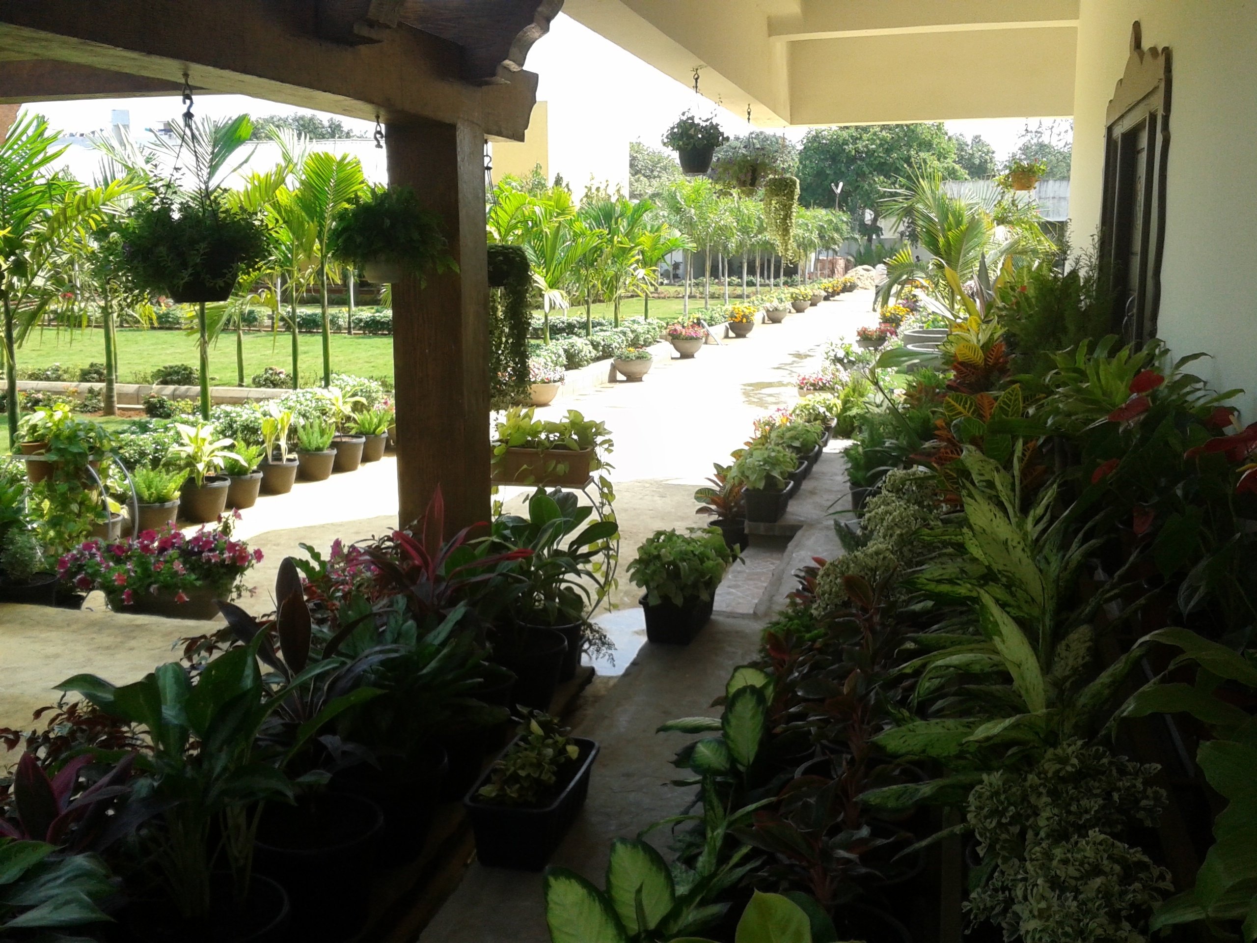 VGC Landscape Project 258