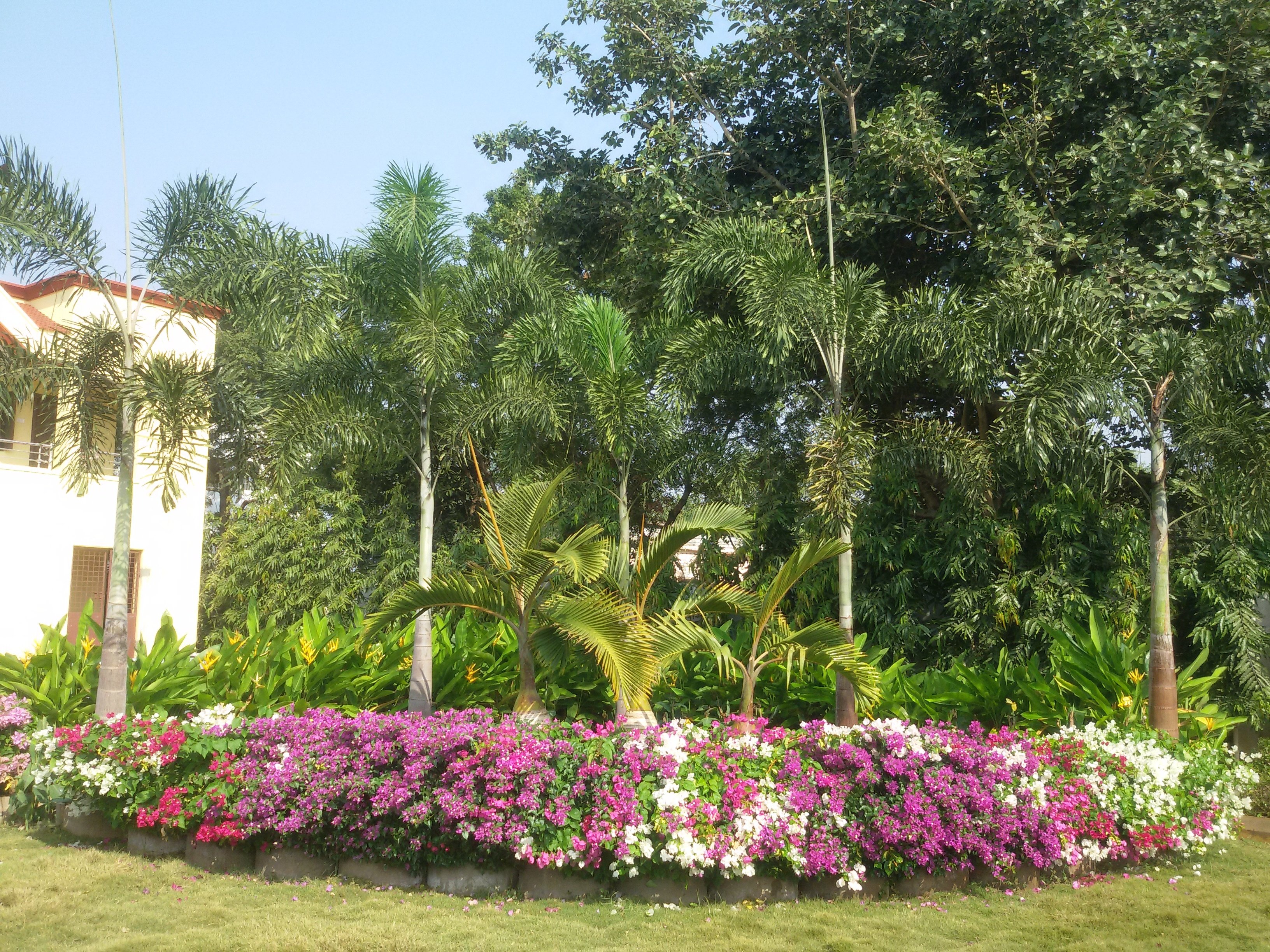 VGC Landscape Project 263