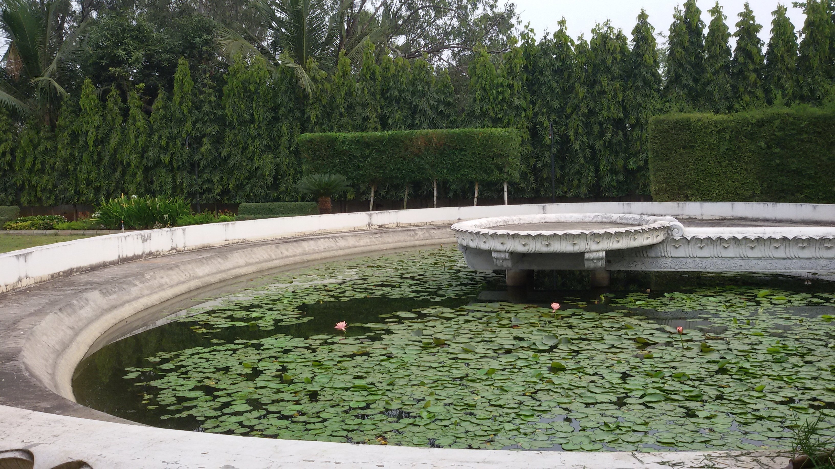 VGC Landscape Project 267