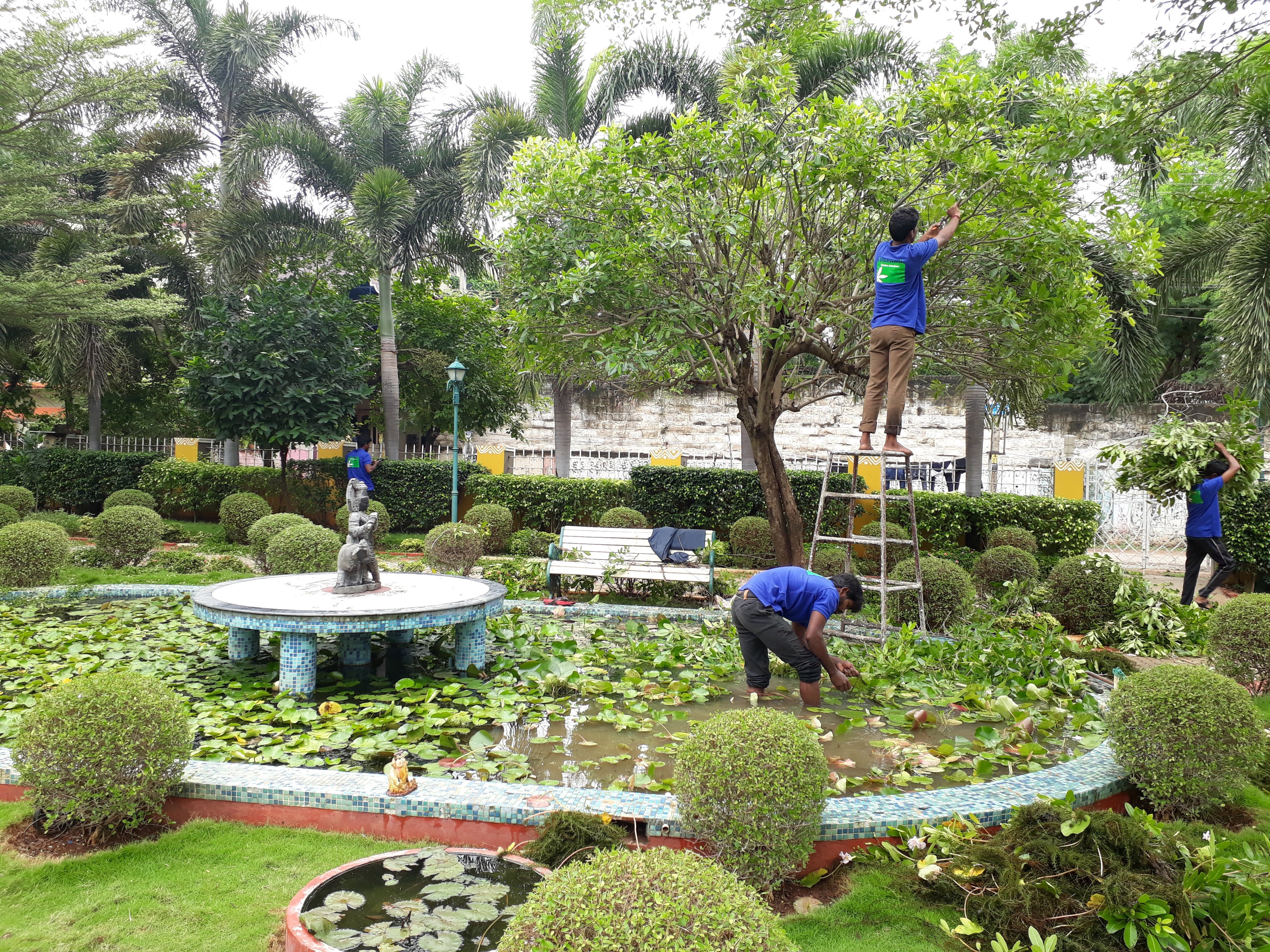 VGC Landscape Project 276