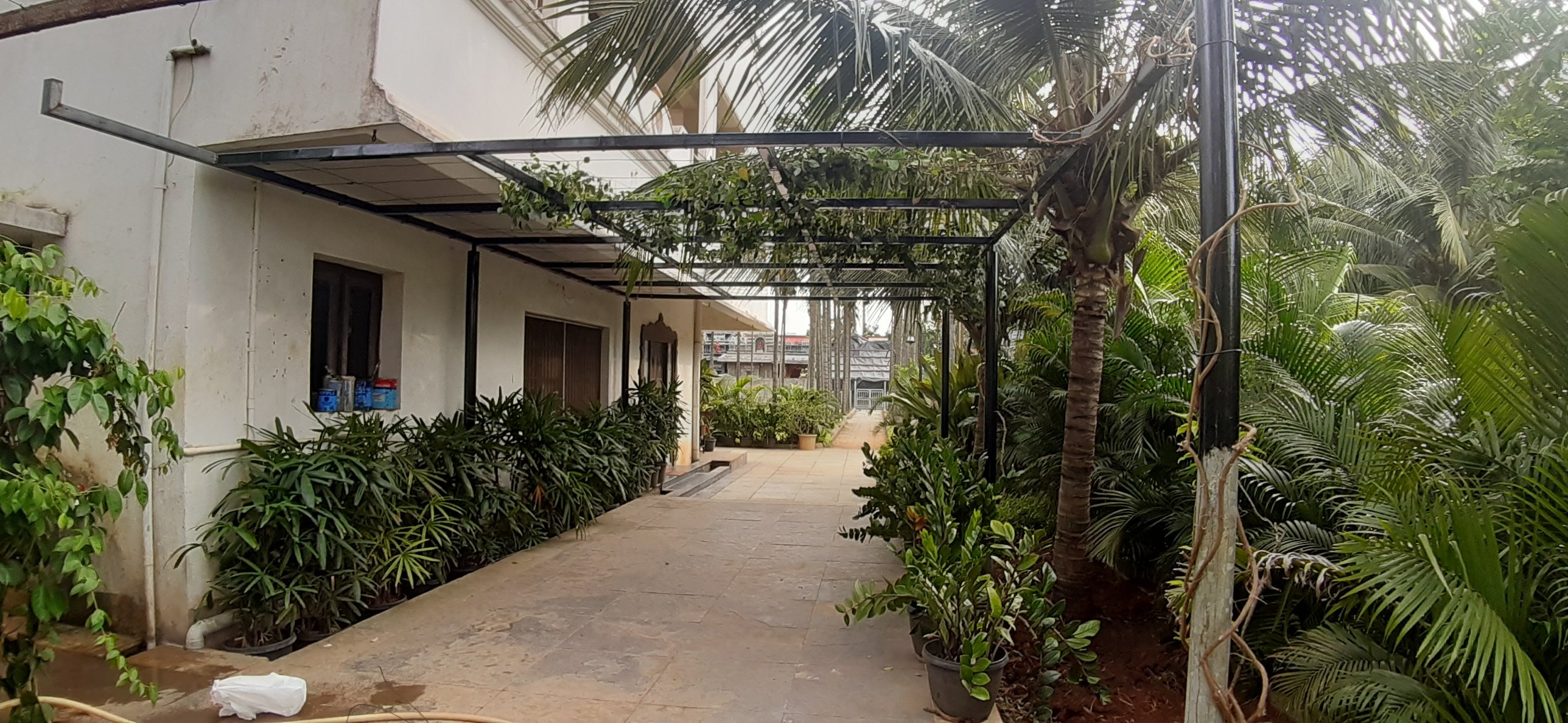 VGC Landscape Project 278