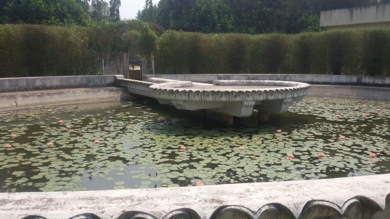 VGC Landscape Project 280