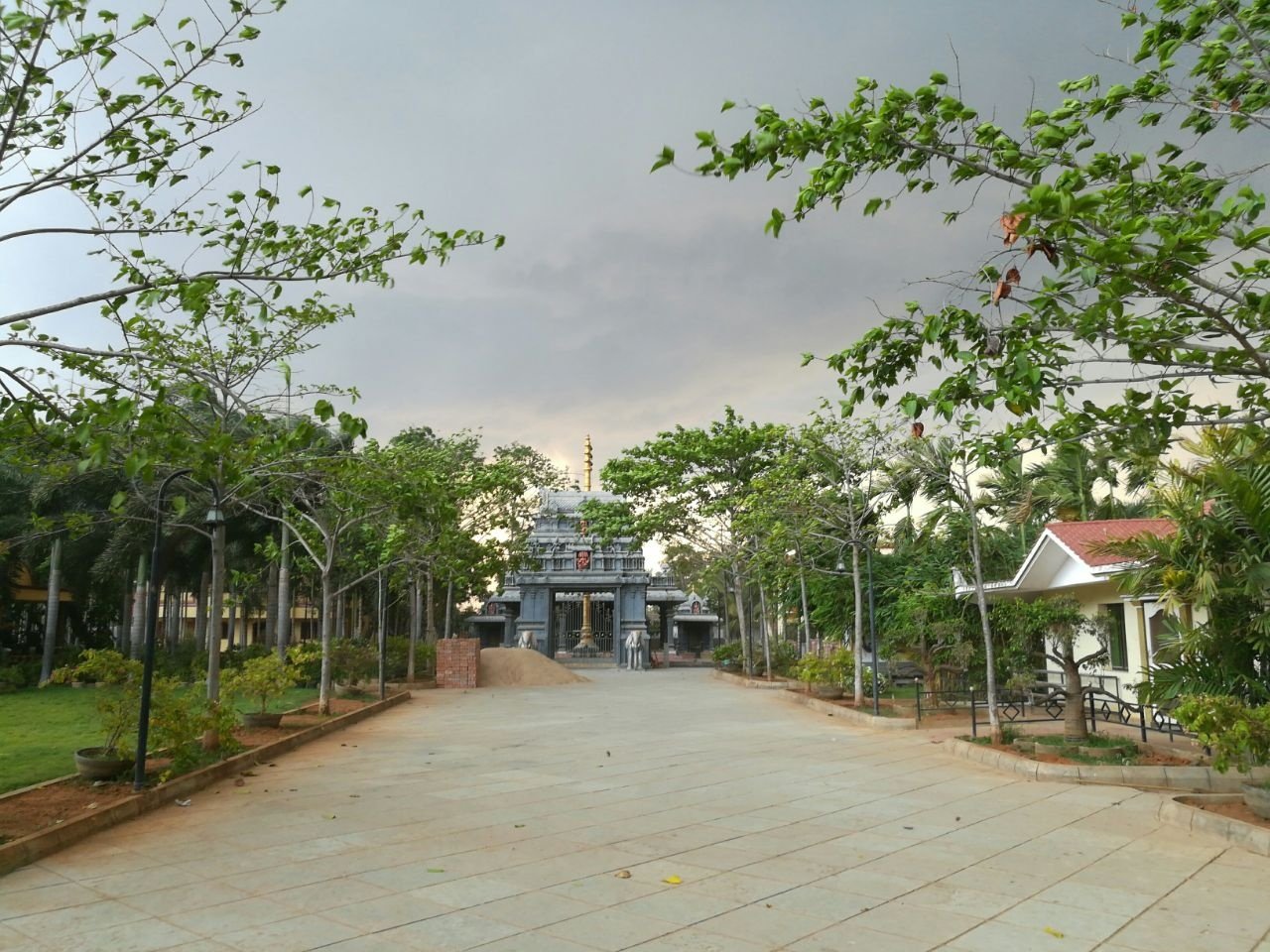 VGC Landscape Project 282